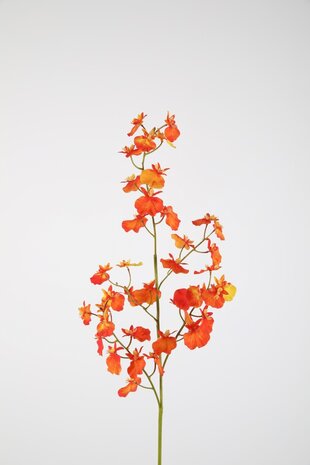 Dancing Orchid Spray RT 74cm