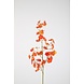 Dancing Orchid Spray RT 74cm