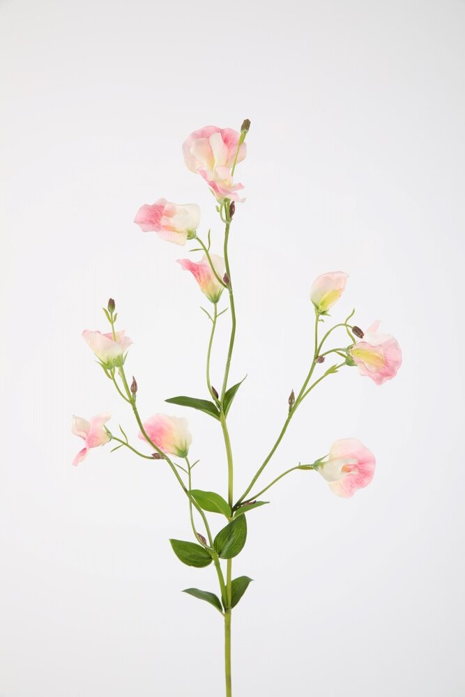 Sweetpea Spray 82cm