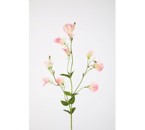 Sweetpea Spray 82cm Sweetpea Spray 82cm