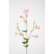 Sweetpea Spray 82cm
