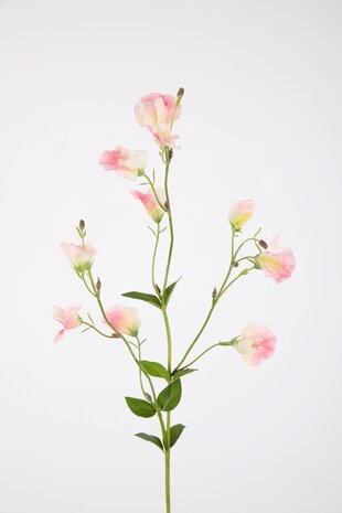 Sweetpea Spray 82cm