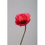 Poppy Spray fuchsia 68cm Poppy Spray fuchsia 68cm