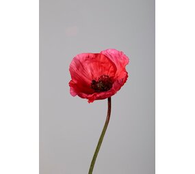 Poppy Spray fuchsia 68cm