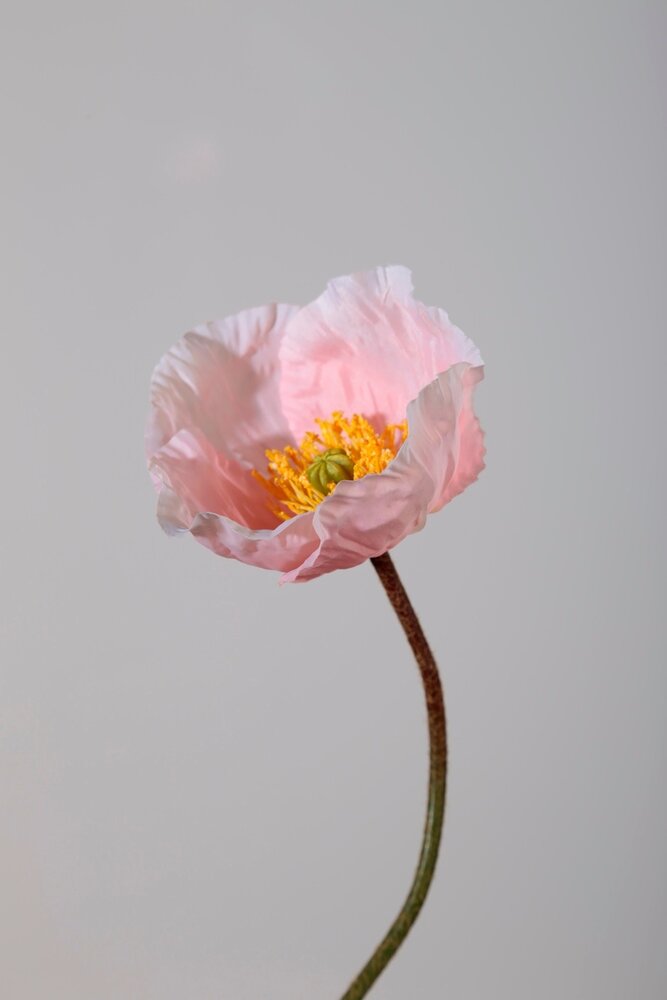 Poppy Spray 68cm