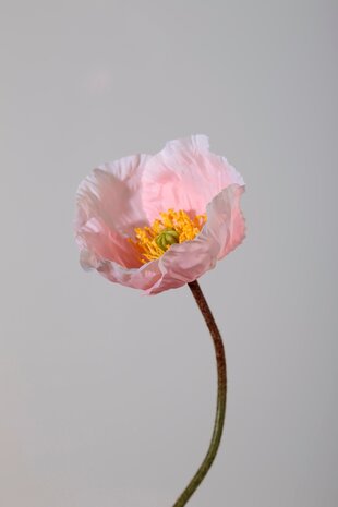 Poppy Spray 68cm