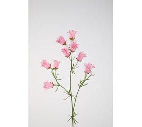 Campanula Stem 88cm