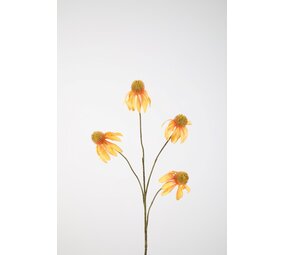 Echinacea Spray x4 83cm Echinacea Spray x4 83cm