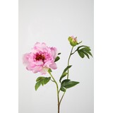 Peony Spray 70cm Peony Spray 70cm