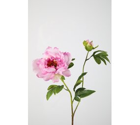 Peony Spray 70cm Peony Spray 70cm