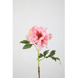 Peony Spray 55cm Peony Spray 55cm