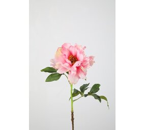 Peony Spray 55cm Peony Spray 55cm