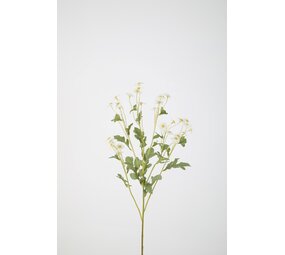 Daisy Spray 66cm Daisy Spray 66cm