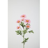 Daisy Spray 70cm Daisy Spray 70cm