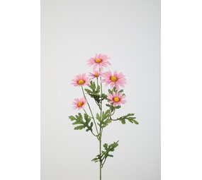 Daisy Spray 70cm Daisy Spray 70cm