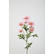 Daisy Spray 70cm