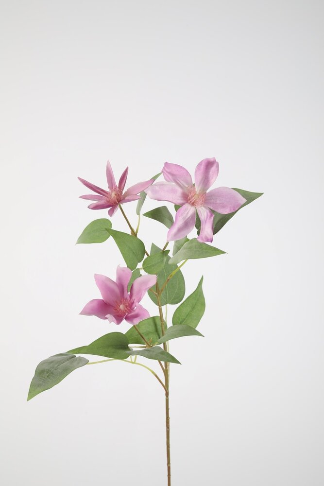 Clematis Spray 86cm