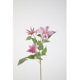 Clematis Spray 86cm Clematis Spray 86cm