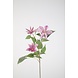 Clematis Spray 86cm