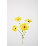 Cosmos Spray x4 67cm Cosmos Spray x4 67cm