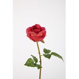 Rose Stem RT 61cm Rose Stem RT 61cm