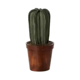 Maileg Flower pot with Cactus - Miniature Maileg Flower pot with Cactus - Miniature