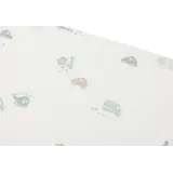 Jollein 3x Hydrofiele Multidoek 70x70cm – On The Go Jollein 3x Hydrofiele Multidoek 70x70cm – On The Go