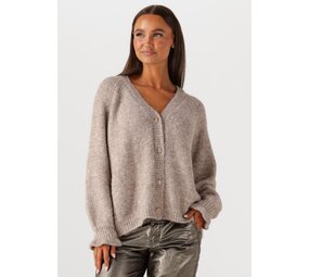 Summum Woman Cardigan cozy melange lurex knit – Funghi
