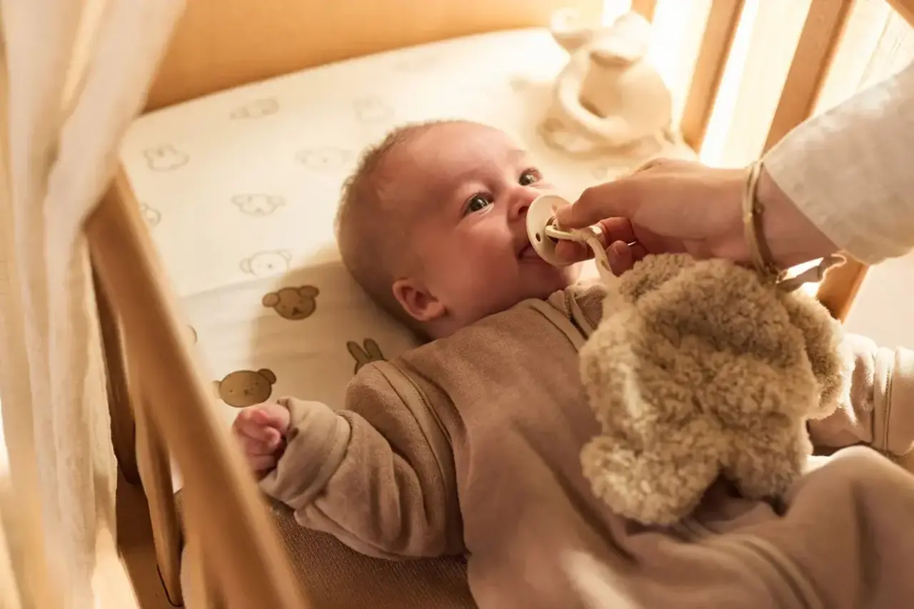 Jollein Speendoekje - Elephant Tales Jollein Speendoekje - Elephant Tales