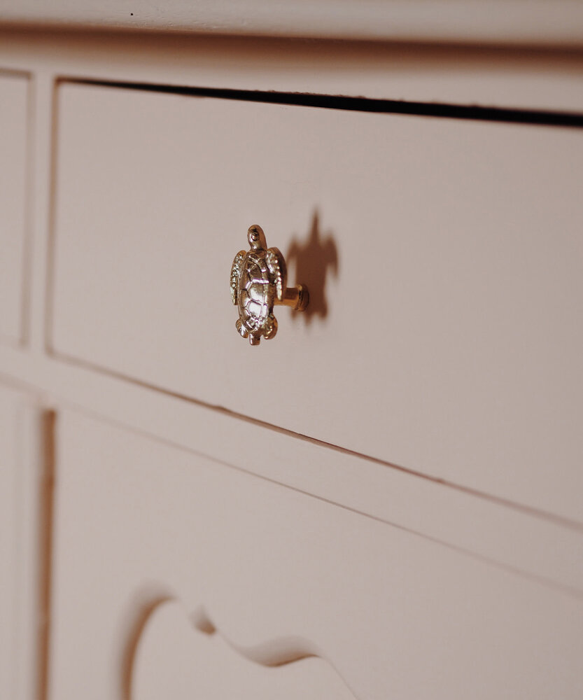 Doing Goods Tommy Turtle Knob Doing Goods Tommy Turtle Knob