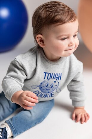 Noppies Sweater Sardesi - Grey Melange