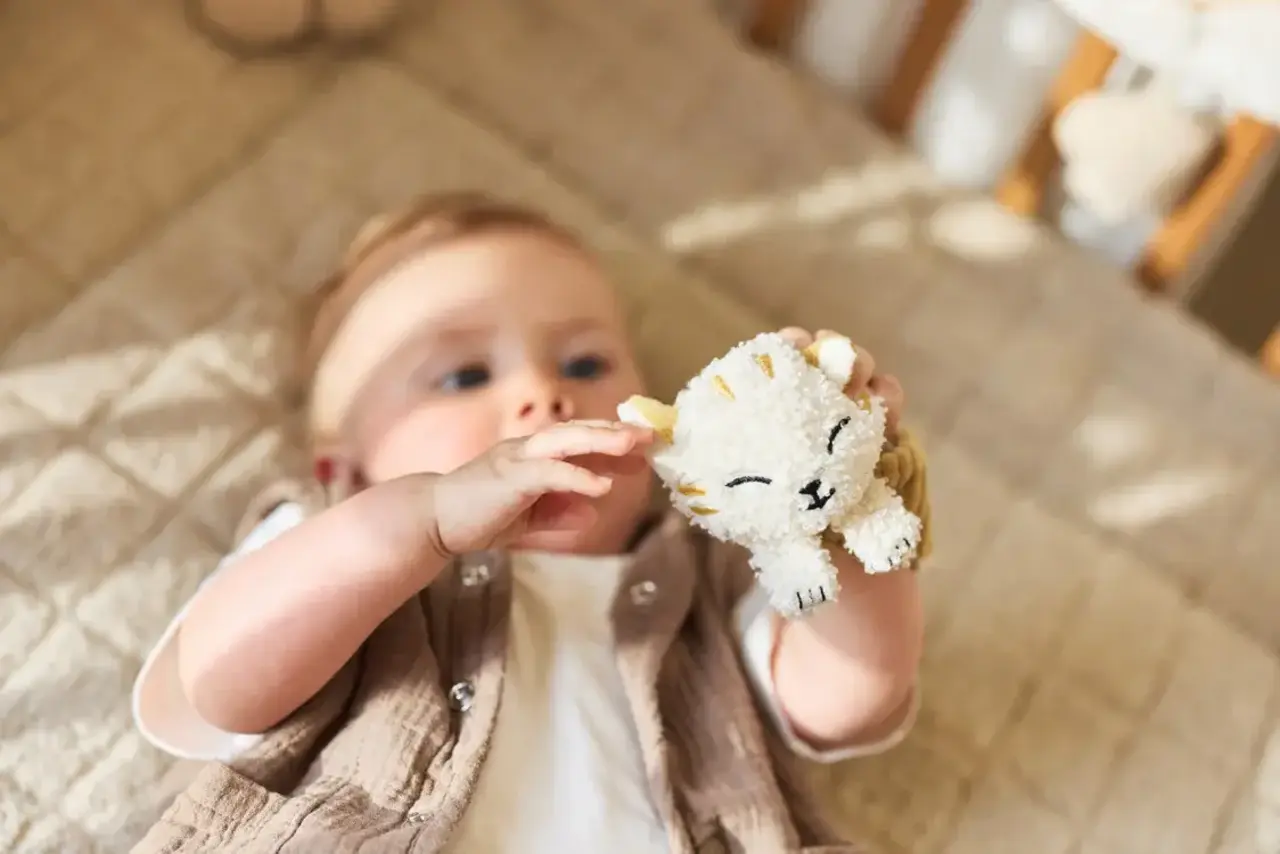 Jollein Polsrammelaar - Charlie Jollein Polsrammelaar - Charlie