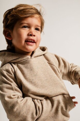 Baje Studio Sweat Hoodie Prez - Sand Melange