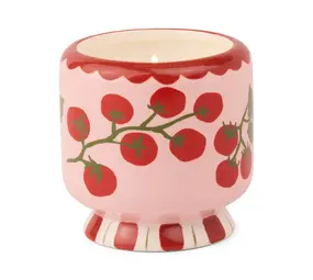 A Dopo Geurkaars Tomato Vine - Heirloom Tomato A Dopo Geurkaars Tomato Vine - Heirloom Tomato