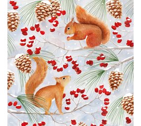 Ppd Servetten Squirrel Chat 33x33 Ppd Servetten Squirrel Chat 33x33