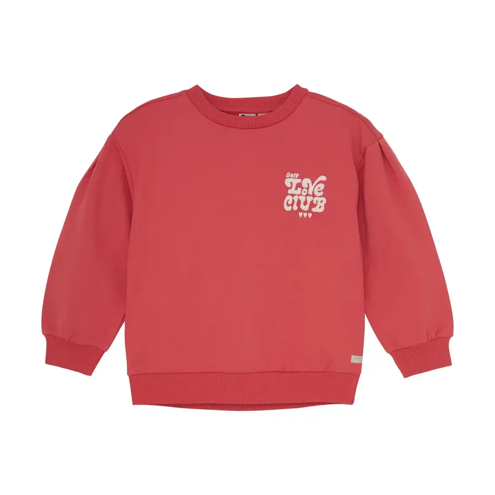 Daily7 Sweater Brushed Print – Baked Apple