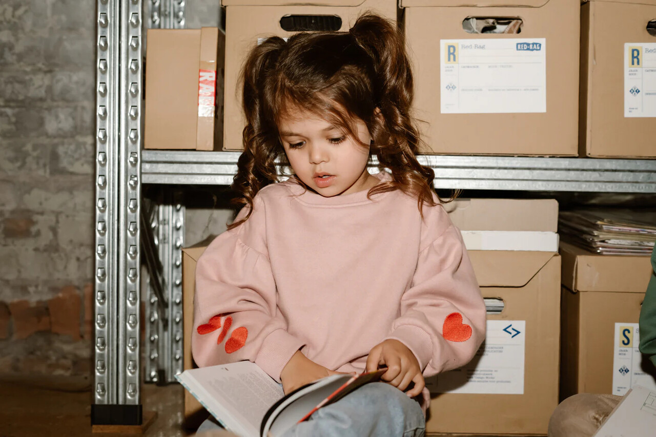 Daily7 Sweater Heart Embroidery – Pale Mauve