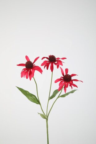 Echinacea Spray Fuchsia 67cm