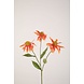 Echinacea Spray Geel/Oranje 67cm