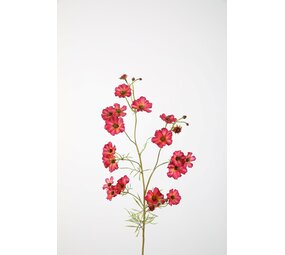 Helenium Spray Fuchsia 85cm