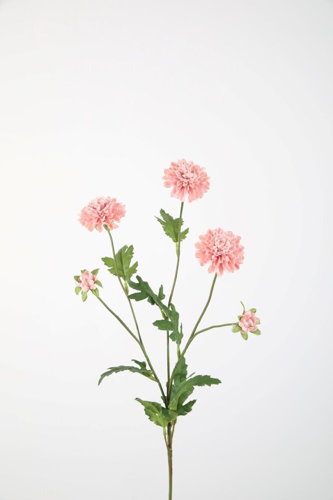 Mum Pompon Stem 71cm