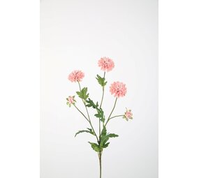 Mum Pompon Stem 71cm