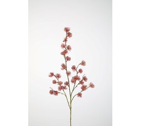 Clematis Seed Pod 103cm