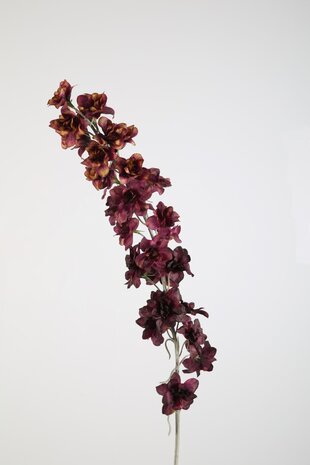 Delphinium Stem 110cm
