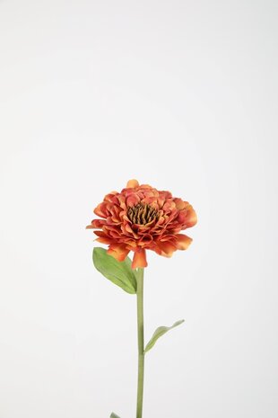 Zinnia Stem 43cm