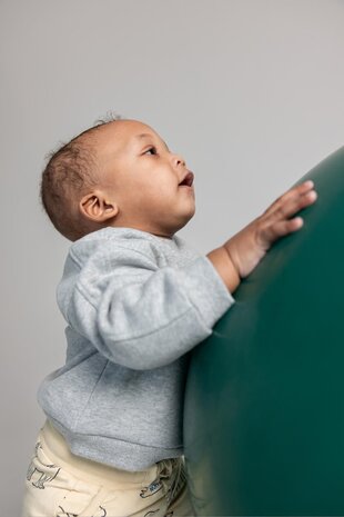 Noppies Longsleeve Starbuck - Grey Melange