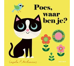 Flapjesboek: Poes, waar ben je?
