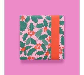 't Haagje pakt in - Kerst