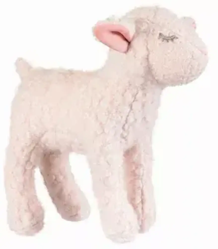 Schaap Mary klein