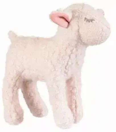 Schaap Mary klein